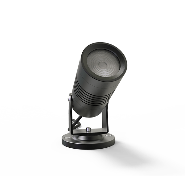 Canon-8S